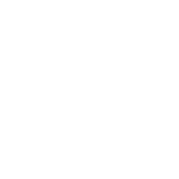 Internachi Certified Professional Inspector